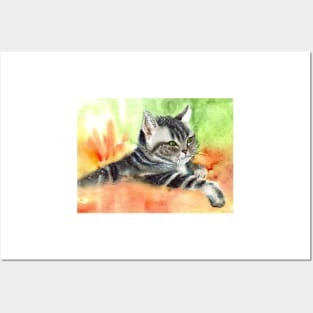 Tabby Cat Posters and Art